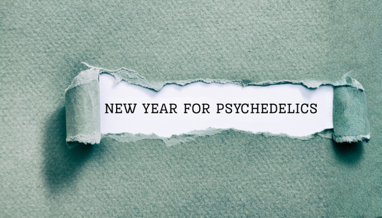 Starting 2026: Why Neuroplastogens Are Quietly Redefining the Psychedelic Medicine Narrative